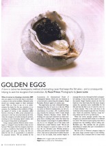 2_golden_eggs_large